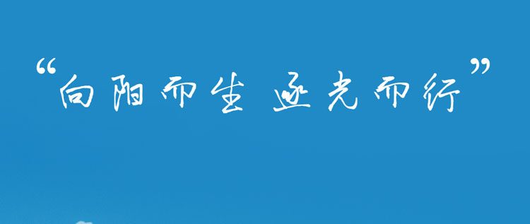 视光培训